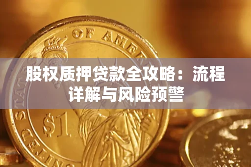 北京股权质押贷款全攻略：流程详解与风险预警