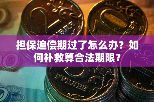 北京担保追偿期过了怎么办？如何补救算合法期限？