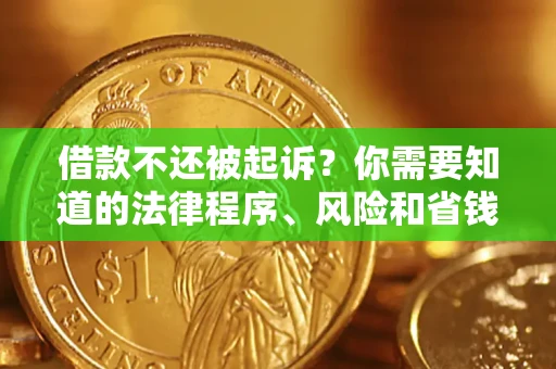 北京借款不还被起诉？你需要知道的法律程序、风险和省钱技巧