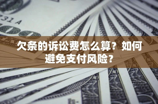 北京欠条的诉讼费怎么算？如何避免支付风险？